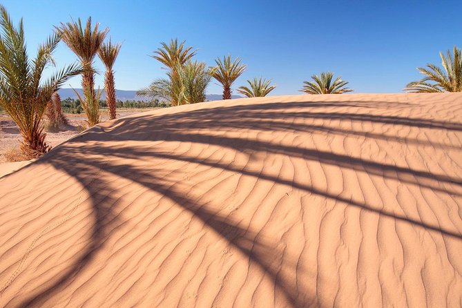 Dubai Red Dunes Desert Safari Adventure - Exceptional Tour and Excellent Reviews