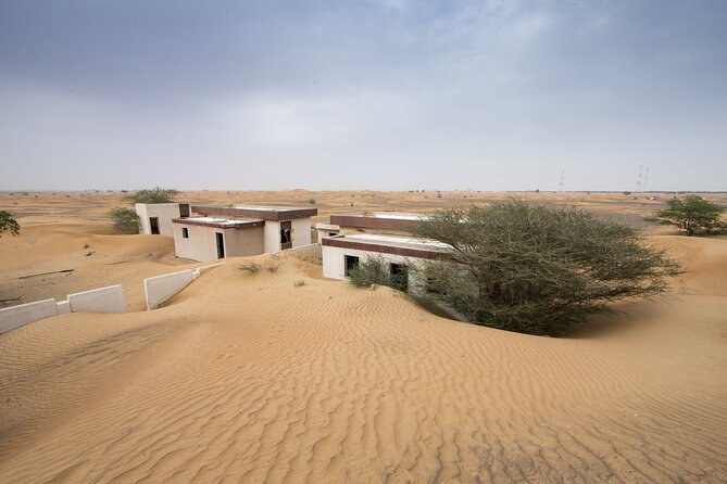 Dubai Red Dunes Morning Desert Safari Dune Bashing Camel Ride - Inclusions