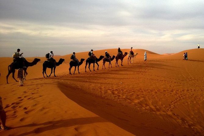 Dubai Red Dunes Safari, Camel Ride, Fire Show, BBQ Dinner - Mesmerizing Cultural Performances