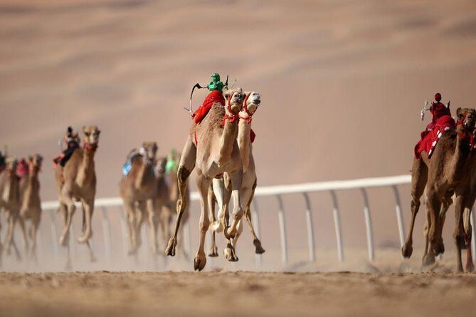 Dubai Royal Camel Race With Prime Seats & Short Camel Ride - Ticket Options and Inclusions