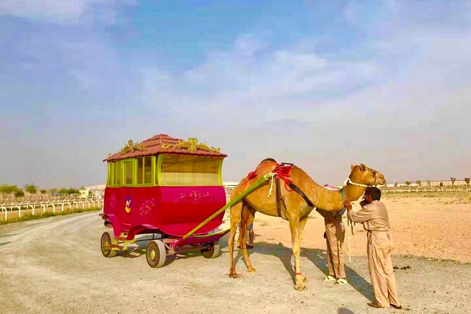 Dubai Royal Camel Race With Prime Seats & Short Camel Ride - Guest Experiences and Feedback
