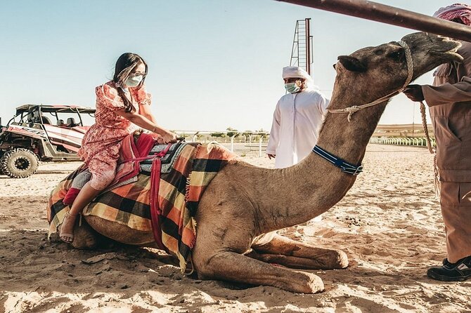 Dubai Royal Camel Race With Prime Seats & Short Camel Ride - Special Offers and Cancellation Policy