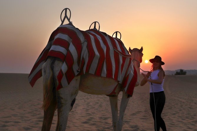 Dubai Sunset Camel Trekking With BBQ Dinner at VIP Camp - Inclusions and Amenities