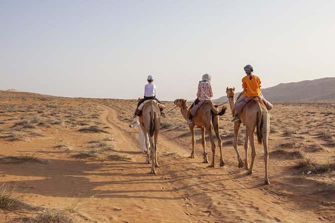 Dubai Sunset Camel Trekking With Shows & BBQ Dinner - Barbecue Dinner Details