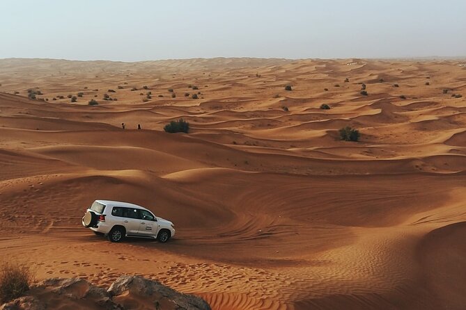 Dubai Trip Like a Local - Online Guide - Local Transportation Insights