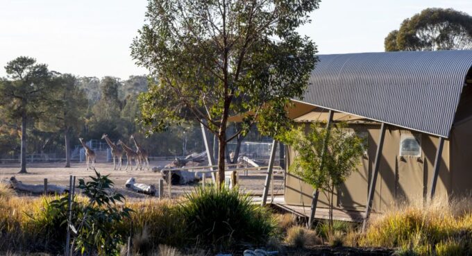 Dubbo: Taronga Western Plains Zoo 2-Day Entry Ticket - Daily Keeper Activities