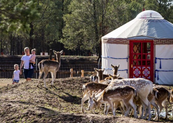 Dubbo: Taronga Western Plains Zoo 2-Day Entry Ticket - Savannah Visitor Plaza