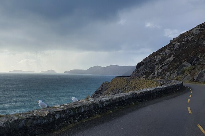 Dublin Airport to Galway ,Private Chauffeur Transfer . - Customer Reviews