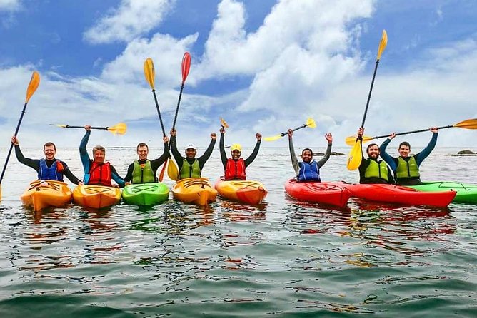Dublin Bay Seal Kayaking Safari at Dalkey - Group Size and Capacity