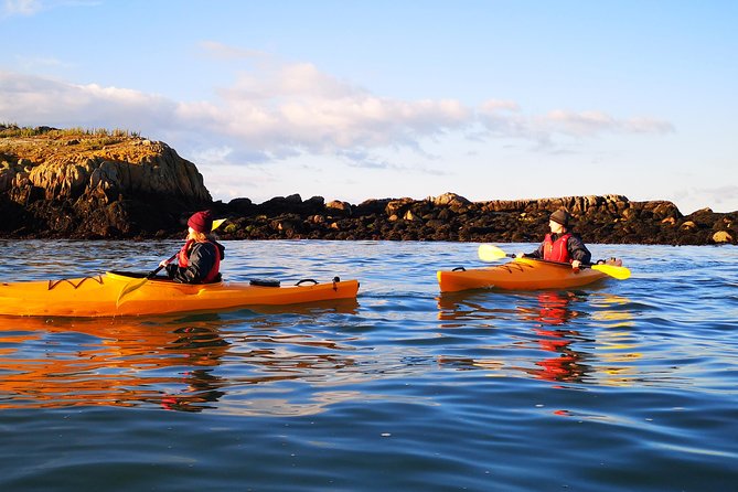 Dublin Bay Seal Kayaking Safari at Dalkey - Directions to the Tour