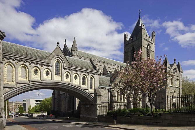 Dublin Christ Church Cathedral Admission Ticket - Exploring the Cathedral