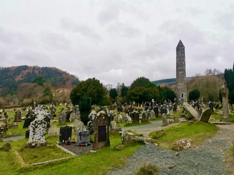 Dublin Coast & Wicklow Mountains: Luxury Private Day Tour - Customer Feedback