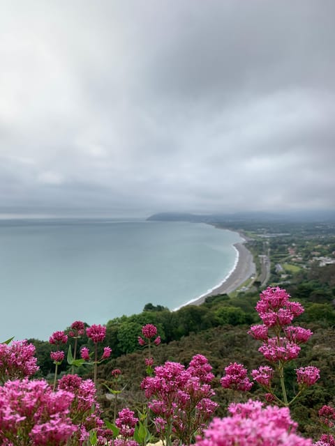 Dublin Coast & Wicklow Mountains: Luxury Private Day Tour - Transportation Details