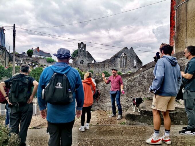 Dublin: Coastal Hike and Pints & Puppies - Meeting Point and Accessibility