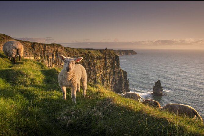 Dublin Day Trip to Cliffs of Moher, Ennis Town, Bunratty Castle - Pickup and Drop-off Details