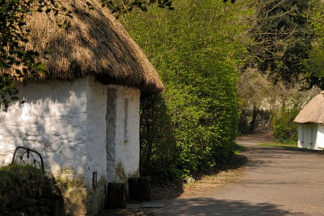 Dublin Day Trip to Cliffs of Moher, Ennis Town, Bunratty Castle - Restrictions and Additional Information