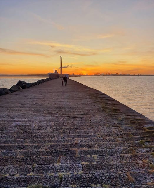 Dublin: Dublin Bay Bicycle Tour to PoolBeg Lighthouse - Itinerary Highlights