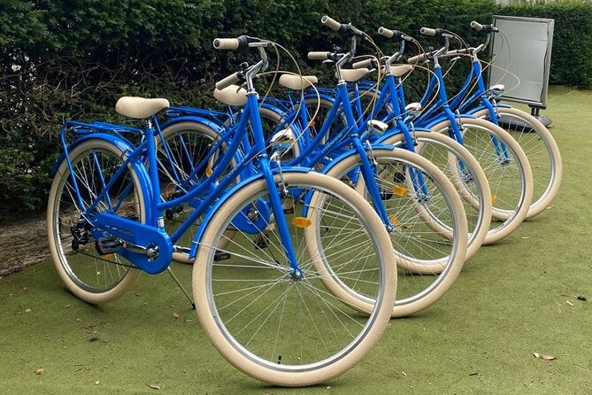 Dublin Full Day Bike Rental - Tour Overview