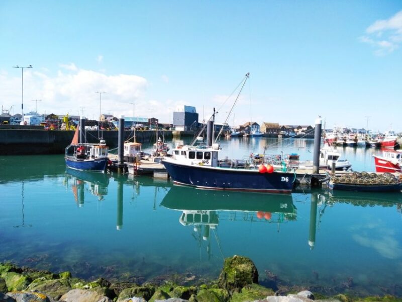 Dublin: Full-Day Howth and Malahide Castle Tour - Inclusions and Exclusions