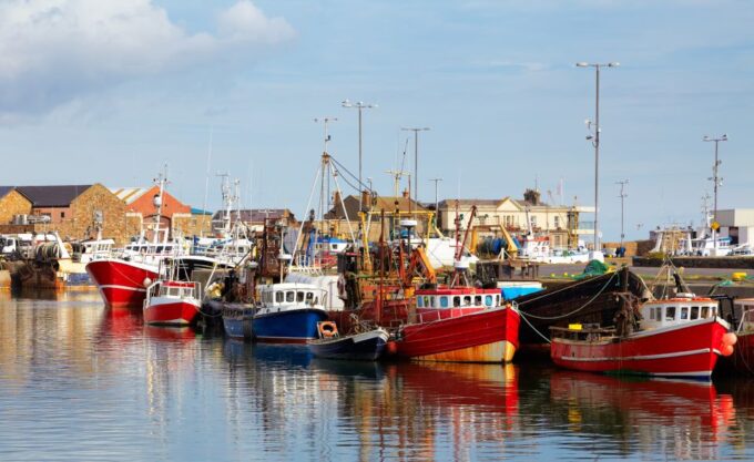 Dublin: Full-Day Howth and Malahide Castle Tour - Departure Location and Time