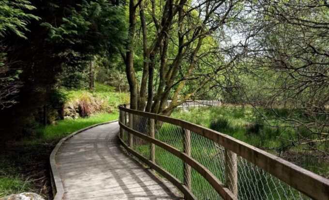 Dublin: Full-Day Wicklow Mountains Tour W/ Glendalough Visit - Frequently Asked Questions