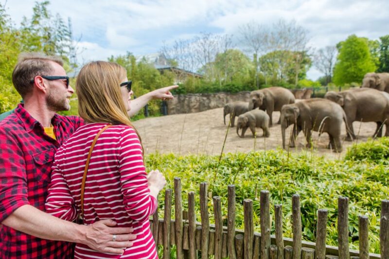 Dublin: Go City Explorer Pass - Choose 3 to 7 Attractions - Pass Activation and Expiration