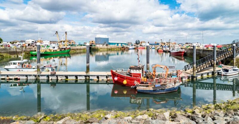 Dublin Great Famine Tour With Fast-Track EPIC Museum Tickets - Key Highlights