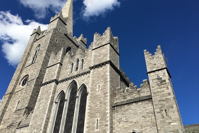 Dublin Half Day Tour With a Local: 100% Personalized & Private - Exploring Trinity College