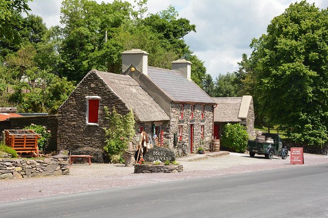 Dublin Half Day Tour With a Local: 100% Personalized & Private - Traveler Reviews and Recommendations