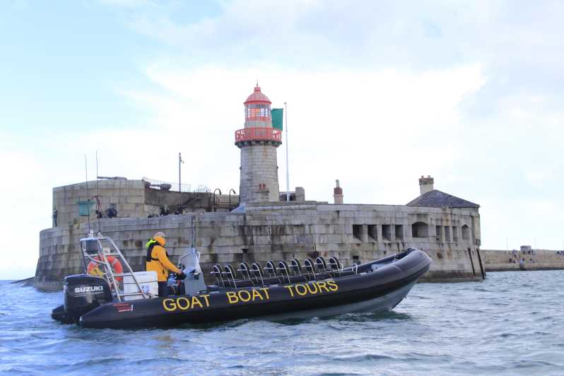 Dublin: History and Wildlife Boat Tour With Live Commentary - Experience Highlights