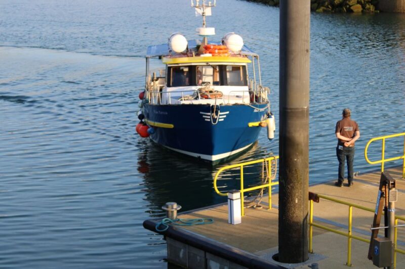 Dublin: Howth Cliffs and Lighthouse Cruise - Key Points