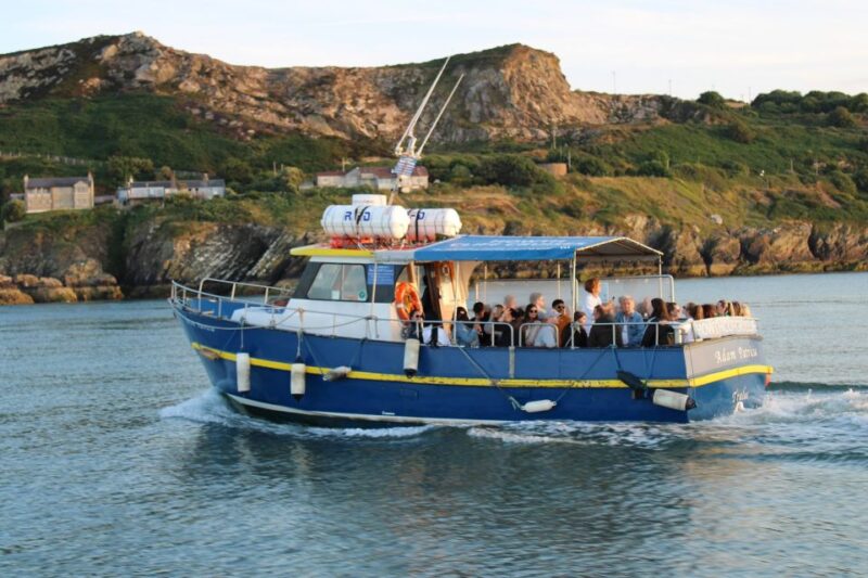Dublin: Howth Cliffs and Lighthouse Cruise - Activity Highlights