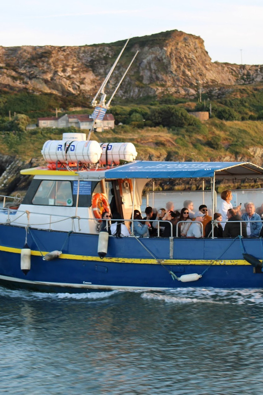 Dublin: Howth Coast and Irelands Eye Boat Tour - Experience and Itinerary