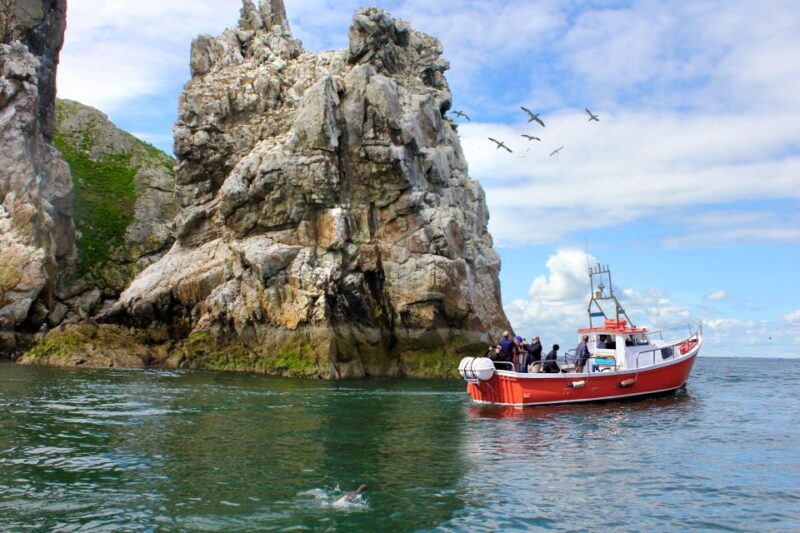 Dublin: Howth Coastal Boat Tour With Irelands Eye Ferries - Inclusions