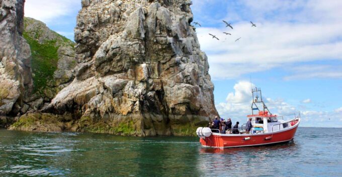Dublin: Howth Coastal Boat Tour With Irelands Eye Ferries - Positive Experiences
