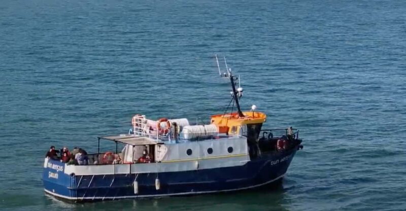 Dublin: Howth Lighthouse and Cliffs Boat Tour - Itinerary and Highlights