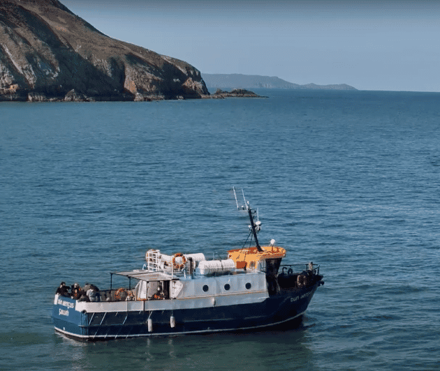 Dublin: Howth Lighthouse and Cliffs Boat Tour - Participant Information