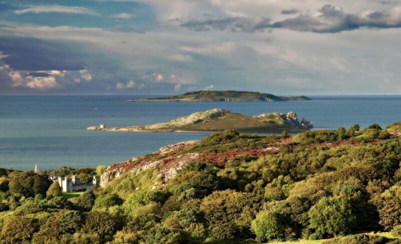 Dublin: Howth Peninsula Coastal Hiking Tour - Itinerary Steps