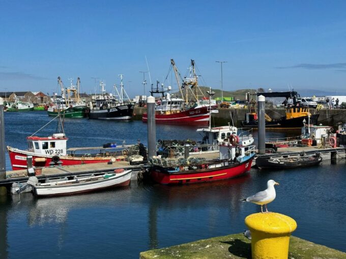 Dublin: Howth Peninsula Coastal Hiking Tour - Customer Reviews