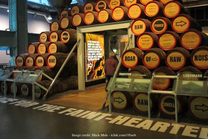 Dublin in a Day: Book of Kells & Guinness Storehouse Private Tour - Meeting and End Points