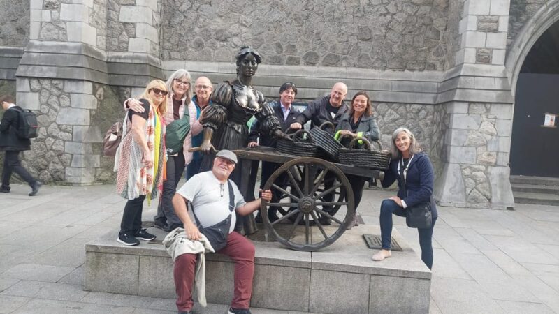 Dublin Landmarks Walking Tour - Meeting Point and Important Information