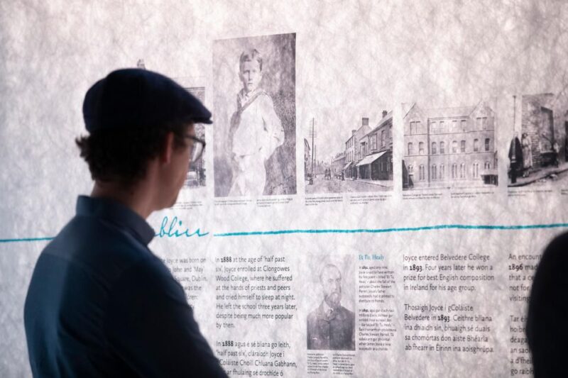 Dublin: Museum of Literature Ireland (MoLI) All Day Pass - Visitor Experience and Offerings