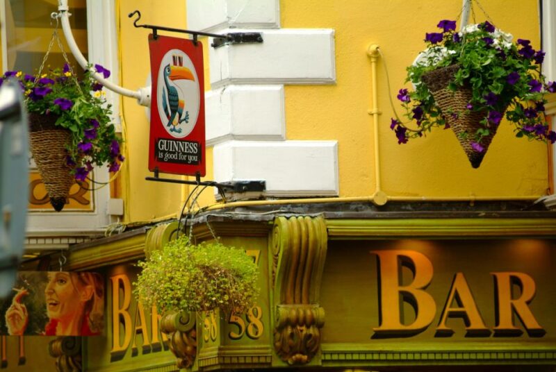 Dublin: Private City Tour in German - Tour Features