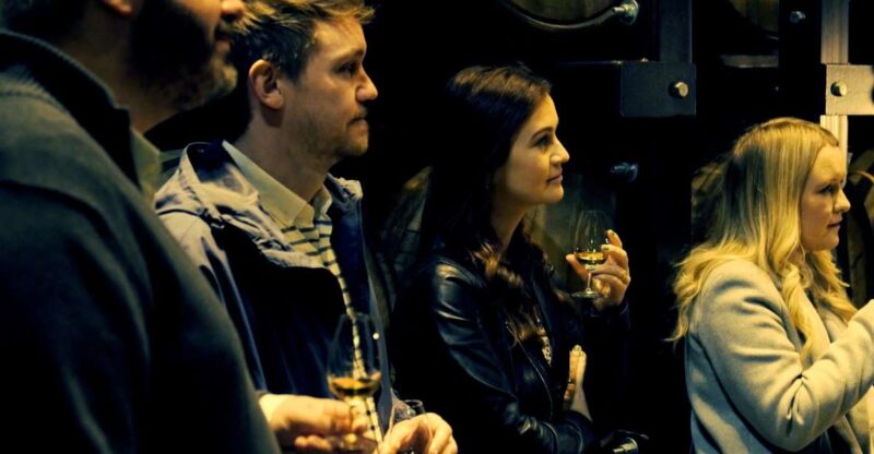 Dublin: Private Irish Whiskey Tour - Dublins Distilleries - Transportation and Guides