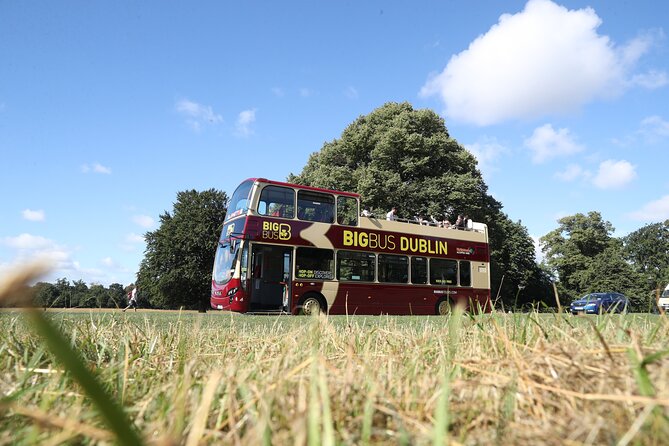 Dublin Shore Excursion, Live Guided Open-top, Hop-on Hop-off Sightseeing Tour - Customer Support Channels