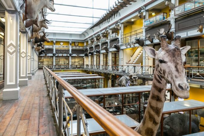 Dublin: the Dublin Pass With Tickets to 40+ Attractions - Booking and Cancellation Policies