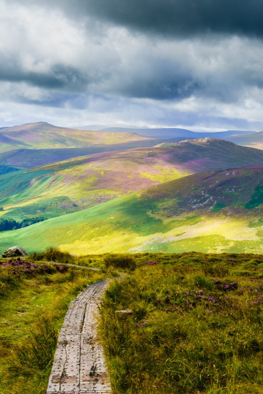 Dublin to County Wicklow & Glendalough Private Trip by Car - Itinerary Options