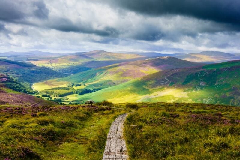 Dublin to County Wicklow & Glendalough Private Trip by Car - Private Guide and Transport
