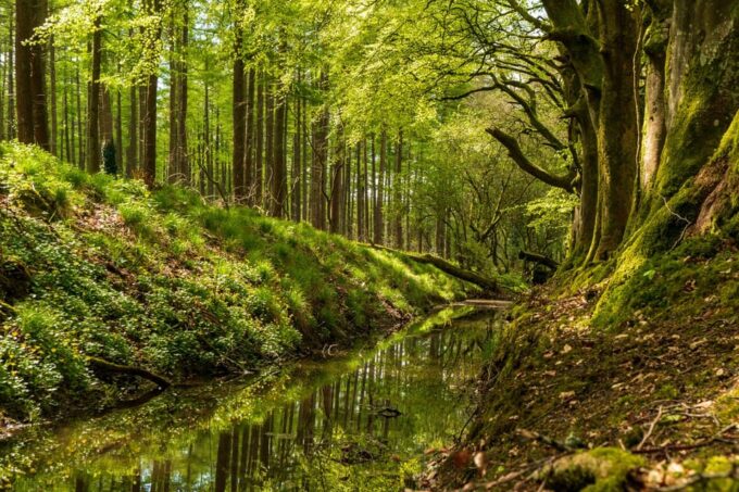 Dublin to County Wicklow & Glendalough Private Trip by Car - Frequently Asked Questions