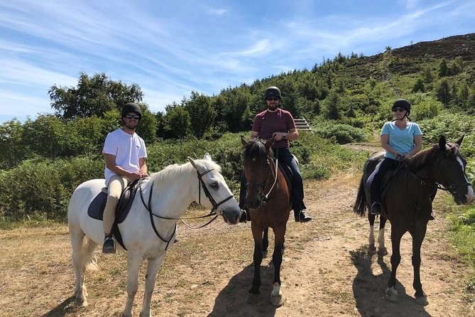 Dublin to Wicklow and Glendalough Guided Tours With Horse Riding - Tour Overview